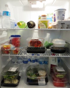 Nisha's Fridge